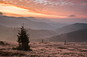 Misty forest and Carpathian Mountains landscape at sunrise, Ranca, Parang Mountains, Oltenia Region, Romania, Europe