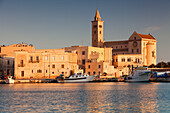 San Nicola Pellegrino cathedral, at sunrise, harbour, Trani, Le Murge, Barletta-Andria-Trani district, Puglia, Italy, Europe