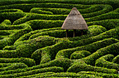 A maze in Glendurgan Garden on the Lizard peninsula in Cornwall, England, United Kingdom, Europe