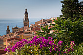 View of medieval Menton and Basilique Saint Michel, Alpes-Maritimes, Cote d'Azur, Provence, French Riviera, France, Mediterranean, Europe