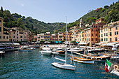 Harbour from boat in Portofino, Genova (Genoa), Liguria, Italy, Europe
