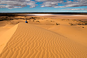 Sanddünen nahe dem Lake Harris, Lake Harris, Südaustralien, Australien