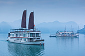Vietnam, Halong Bay, tourist boats, dawn.