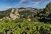 Viniculture, La Roque Alric, Montmirail Lace, Vaucluse, France, Europe