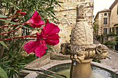 The Fontaine des Mascarons, stone fountain in historic village of  Séguret, 15th century,  Vaucluse, Provence, France