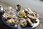 Fresh oysters served on the half-shell, Cancale, Bretagne, France