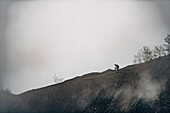 Mountainbiker in den Bergen bei Nebel, Brandnertal, Vorarlberg, Österreich, Alpen, Berge, Bergab