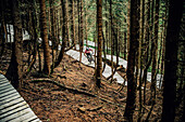 Bikepark Brandnertal, Mountainbiker, Downhill, Mountainbike, Wald, Wiese, Vorarlberg, Österreich, Berge, Alpen