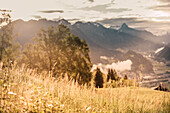 Sonnenaufgang, Brandnertal, Vorarlberg, Österreich, Wiese, Berge, Frühling