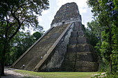 Tikal Temple 5, pre-Colombian Maya civilisation, Tikal, UNESCO World Heritage Site, Guatemala, Central America