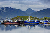 Carl E. Moses Boat Harbor, Dutch Harbor, Amaknak Island, Aleutian Islands, Alaska, United States of America, North America