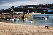 Fishing boats in St. Ives harbour, St. Ives, Cornwall, England
