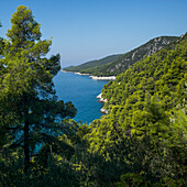 View of the coastline of a greek island with lush green foliage on the hillsides, Sporades, Thessalia Sterea Ellada, Greece