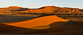 Sunrise light illuminate the large, red sand dunes in Sossusvlei which is part of the Namib desert, Namibia