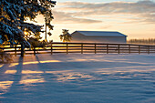 Winter sunrise at a ranch, Cremona, Alberta, Canada