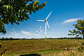 Windräderpark in Schleswig-Holstein nähe Büsum, Norddeutschland, Deutschland