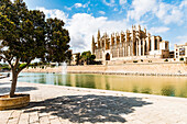 Kathedrale von Palma, Mallorca, Balearen, Spanien
