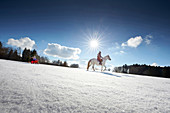 Mother on horse pulling children on sledge, Buchensee, Muensing, Bavaria Germany