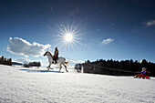 Mother on horse pulling children on a sledge, Buchensee, Muensing, Bavaria Germany