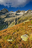 Kuchelmooskopf and Reichenspitze, from hut Plauener Huette, Reichenspitze group, Zillertal Alps, Tyrol, Austria