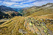 Mit Flechten bewachsener Fels, Blick auf Ahrntal im Hintergrund, von der Birnlücke, Nationalpark Hohe Tauern, Dreiländertour, Zillertaler Alpen, Südtirol, Italien