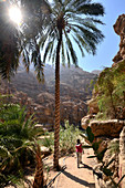 In the Oasis Wadi Shab, Oman