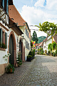 Historical Theresienstrasse, Rhodt unter Rietburg, German Wine Route or Southern Wine Route, Palatinate, Rhineland-Palatinate, Germany