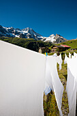 Berggasthof Obersteinberg, hinten das Tschingelhorn mit Schnee, hinteres Lauterbrunnental, Lauterbrunnen, Schweizer Alpen Jungfrau-Aletsch, Berner Oberland, Kanton Bern, Schweiz