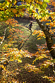 Young man running through a colorful autumn forest, Allgaeu, Bavaria, Germany