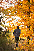 Junger Mann rennt durch einen herbstlich bunten Wald, Allgäu, Bayern, Deutschland