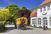 Horse and cart in Kloster, Island Hiddensee, Baltic coast, Mecklenburg-Western Pomerania, Northern Germany, Germany, Europa