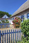 Reetdachhaus in Neuendorf, Insel Hiddensee, Ostseeküste, Mecklenburg-Vorpommern,  Norddeutschland, Deutschland, Europa