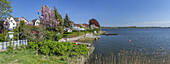 Häuser an der Schlei in Schleswig, Ostseeküste, Schleswig-Holstein, Norddeutschland, Deutschland, Europa