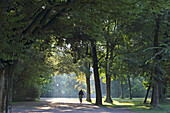 Morning walk, English Garden, Englischer Garten, Munich, Bavaria, Germany