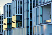 Bürohäuser, Erika-Mann-Straße, Arnulfpark, Maxvorstadt, München, Bayern, Deutschland