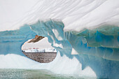 Eiszapfen an Eisberg mit Loch, Cuverville Island, Grahamland, Antarktische Halbinsel, Antarktis