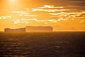 Eisberge bei Sonnenuntergang, Südshetland-Inseln, Antarktis