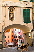 Altstadt, Frau mit Hund, Durchgang und Treppe zum Hafen, Genua, Ligurien, Italien