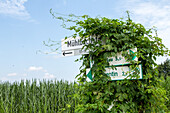 overgrown cycle path signs, Mecklenburg-Vorpommern, Germany