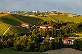 Fontanafredda, Weinberge, Niemand, Hügellandschaft, Weinbaugebiet Langhe in Piemont, Provinz Cuneo, Italien
