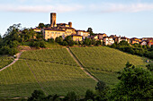 Castiglione Falletto, Weinberge, Hügellandschaft, Weinbaugebiet Langhe in Piemont, Provinz Cuneo, Italien