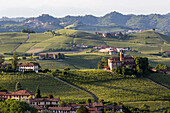 Weinberge, Hügellandschaft, Weinbaugebiet Langhe in Piemont, Provinz Cuneo, Italien