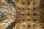 Kirche Jeronimos Kloster, Deckengewölbe, Rippengewölbe, Untersicht, Spätgotik, Hieronymuskloster, Belém, Lissabon, Portugal
