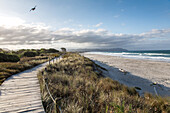 Waihi Beach, Bohlenweg durch die Dünen, Weite, Sandstrand, surf, Bay of Plenty, Niemand, Nordinsel Neuseeland
