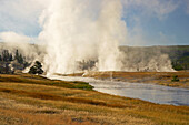 Midway Geyser Basin , Firehole River , Yellowstone National Park , Wyoming , U.S.A. , Amerika
