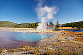 Biscuit Basin , Super volcano , Yellowstone National Park , Wyoming , U.S.A. , America