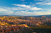 Blick vom Bryce Point in das Bryce Amphitheater , Bryce Canyon National Park , Utah , U.S.A. , Amerika