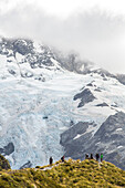 walk up to Sealy Tarns and Mueller Hut, alpine scenery, glacier, snowy mountains and green forest,  Mt Cook National Park, Southern Alps, South Island, New Zealand