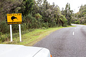 Strassenschild, Langsam fahren wegen Kiwi, Warnschild, Westküste, Autofenster, Cars Kill Kiwi, bewaldet, Niemand, Okarito, Südinsel, Neuseeland
