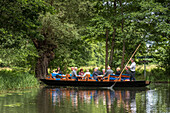 Boat trip on the Spree, Vacation, Family Tour, Summer, Spreewald, Oberspreewald, Brandenburg, Germany